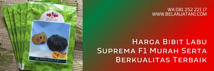 benih labu suprema, jarak tanam labu suprema f1, labu suprema f1, bibit labu kuning, Belanja Tani
