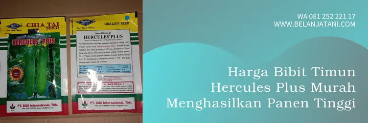 timun hercules, timun hercules plus, benih timun hercules, budidaya timun hercules, Belanja Tani