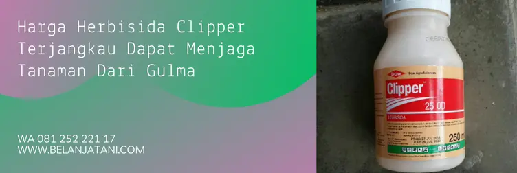 clipper herbisida, keunggulan herbisida clipper, cara aplikasi herbisida clipper, bahan aktif herbisida clipper, Belanja Tani