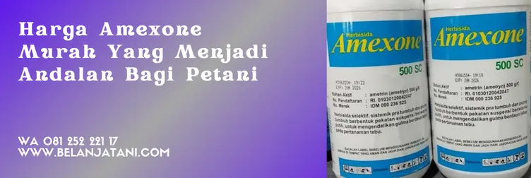 amexone, amexone herbisida, bahan aktif amexone, herbisida berbahan aktif ametrin, Belanja Tani