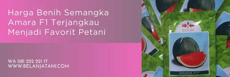 semangka amara, bibit semangka amara f1, harga bibit semangka non biji amara, Belanja Tani