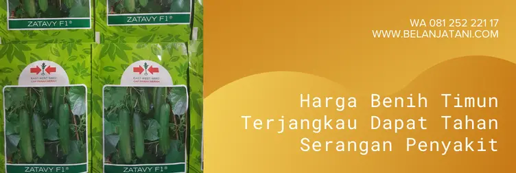 benih timun zatavy f1, harga bibit timun zatavy f1, bibit timun zatavy f1, harga bibit timun zatavy, Belanja Tani