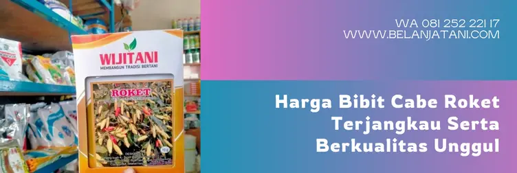 cabe roket, cabe rawit roket, harga benih cabe roket, keunggulan cabe rawit roket, Belanja Tani