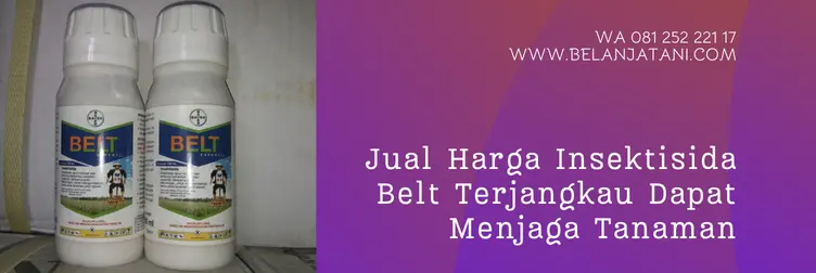 belt insektisida, belt expert, harga belt expert, dosis belt per tangki, Belanja Tani