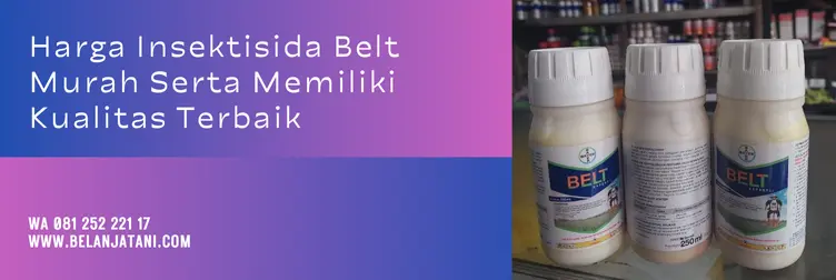 belt insektisida, belt expert, harga belt expert, dosis belt per tangki, Belanja Tani