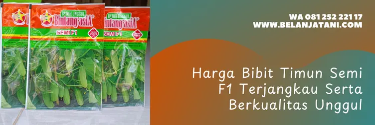 timun semi f1, harga bibit timun, benih timun semi f1, bibit timun terbaik, Belanja Tani
