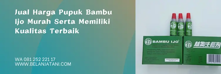 bambu ijo, harga bambu ijo, zpt bambu ijo, waktu aplikasi bambu ijo, Belanja Tani