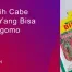 bibit cabe besar, bibit cabe warrior, harga bibit cabe warrior, bibit cabe merah besar, Belanja Tani