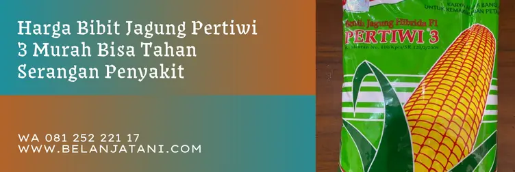 pertiwi 3, jagung pertiwi 3, harga benih jagung pertiwi 3, harga bibit jagung pertiwi, Belanja Tani