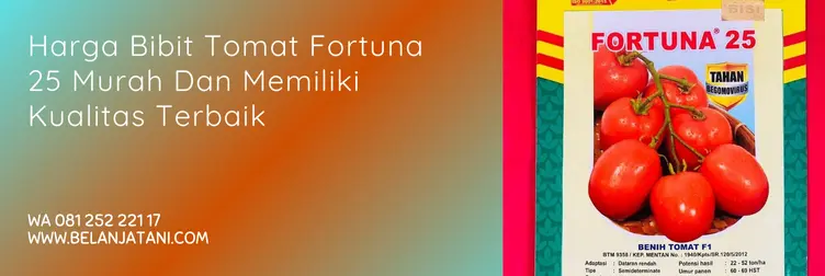 benih tomat fortuna 25, tomat fortuna 25, harga benih tomat fortuna 25, benih tomat terbaik, Belanja Tani