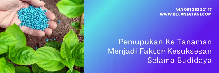 gandasil d, harga gandasil d, harga pupuk gandasil d, harga gandasil, Belanja Tani