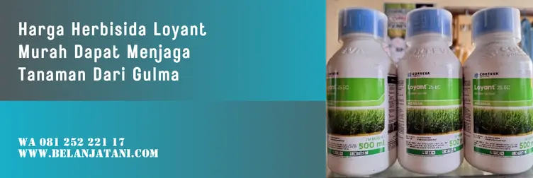 loyant herbisida, harga loyant, harga loyant 25 ec, loyant, Belanja Tani