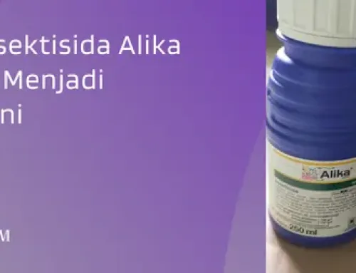 Jual Harga Insektisida Alika 250 Ml Murah Menjadi Andalan Petani