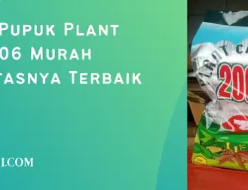 Jual Harga Pupuk Plant Catalyst 2006 Murah Serta Kualitasnya Terbaik