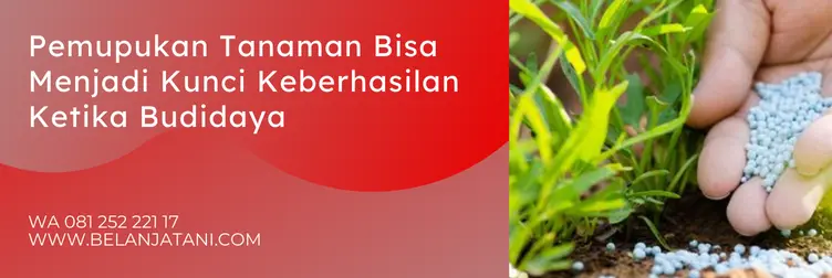plant catalyt, plant catalyst 2006, pupuk plant catalyst, harga plant catalyst 2006, Belanja Tani