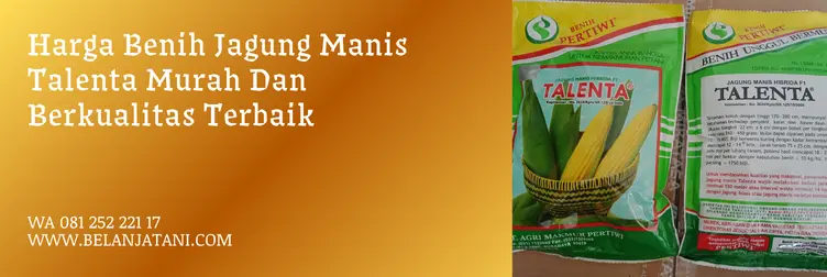 jagung manis talenta, harga bibit jagung manis talenta, harga jagung manis talenta, bibit jagung manis talenta, Belanja Tani