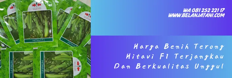 terong hitavi, harga bibit terong hitavi, terong hitavi f1, bibit terong hijau hitavi, Belanja Tani