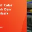 benih cabe gada evo, cabe gada evo, harga benih cabe gada evo, cabe gada, Belanja Tani