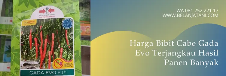 benih cabe gada evo, cabe gada evo, harga benih cabe gada evo, cabe gada, Belanja Tani