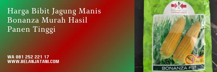 jagung manis bonanza, jagung bonanza f1, harga bibit jagung bonanza f1, jagung bonanza f1, Belanja Tani
