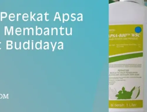 Jual Harga Perekat Apsa Murah Bisa Membantu Petani Saat Budidaya