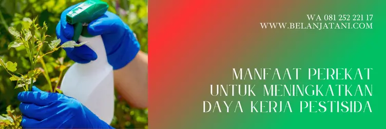 apsa perekat, harga apsa 800 wsc, apsa, keunggulan perekat apsa, Belanja Tani