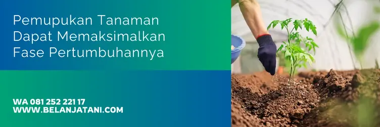 bayfolan, harga pupuk daun bayfolan, harga bayfolan, bayfolan bayer, Belanja Tani