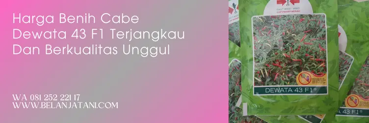 bibit cabe dewata 43 f1, harga bibit cabe dewata 43 f1, cabe dewata 43 f1, harga benih cabe rawit dewata 43 f1, Belanja Tani