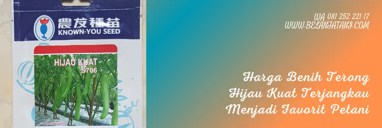 bibit terong hijau kuat, terong hijau kuat, harga bibit terong hijau kuat, bibit terong hijau, Belanja Tani