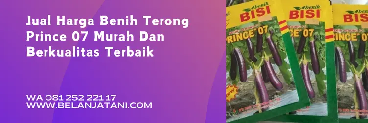 terong prince 07, bibit terong prince 07, keunggulan terong prince 07, harga benih terong, Belanja Tani