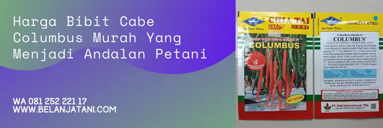 cabe columbus, harga benih cabe columbus, benih cabe columbus, benih cabe columbus f1, Belanja Tani