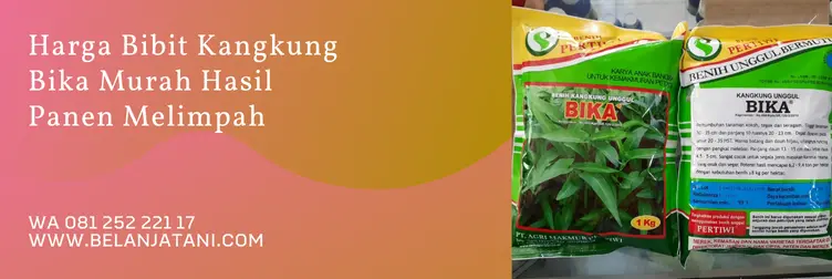 Jual Harga Bibit Kangkung Bika Murah Serta Berkualitas Terbaik | Belanja Tani kangkung bika, benih kangkung bika, harga benih kangkung bika, harga bibit kangkung, Belanja Tani