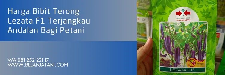 terong lezata, benih terong lezata, harga bibit terong lezata, budidaya terong lezata f1, Belanja Tani