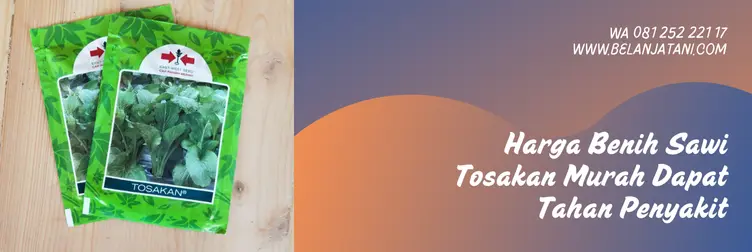 sawi tosakan, bibit sawi tosakan, harga benih sawi, harga bibit sawi, Belanja Tani