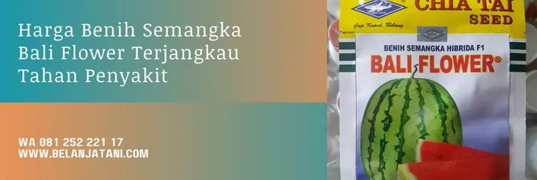 semangka bali flower, bibit semangka bali flower, harga benih semangka, benih semangka terbaik, Belanja Tani