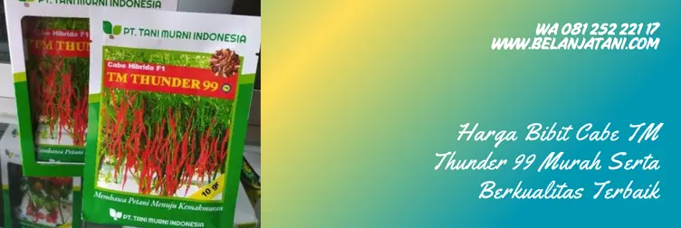 cabe keriting tm thunder, keunggulan tm thunder 99, cabai tm thunder 99, harga bibit cabe keriting, Belanja Tani
