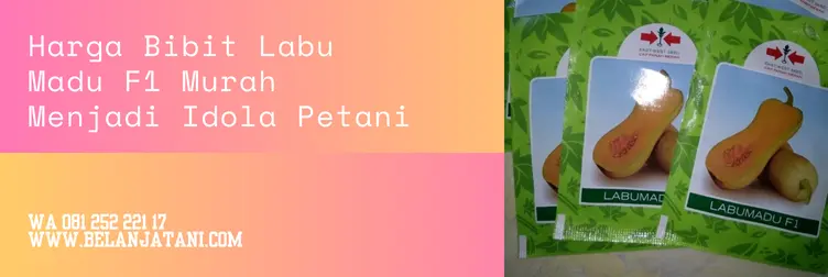 labu madu f1, harga labu madu, harga benih labu madu, bibit labu madu panah merah, Belanja Tani