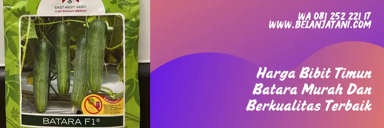 bibit timun batara f1, timun batara, harga bibit timun, benih timun batara, Belanja Tani