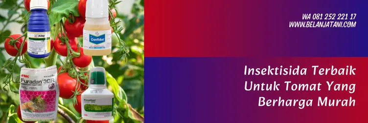 insektisida untuk tomat, obat hama tomat, insektisida terbaik, insektisida tomat, Belanja Tani
