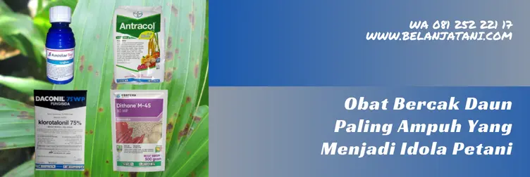 obat bercak daun, bahan aktif untuk bercak daun, penyakit bercak daun, obat untuk bercak daun, Belanja Tani