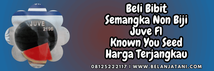 juve known you seed,jual,murah,terjangkau,toko pertanian terdekat,belanja tani