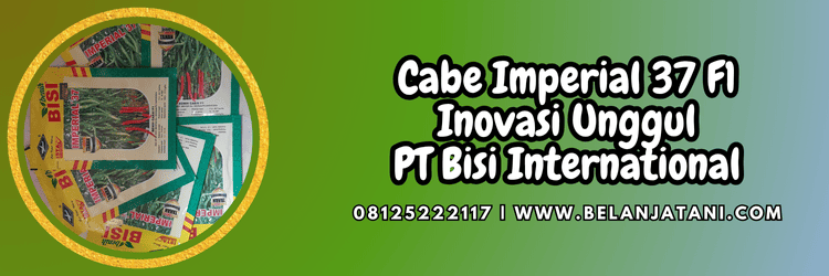 cabai,bisi,cap kapal terbang,imperial 37 cap kapal terbang,belanja tani