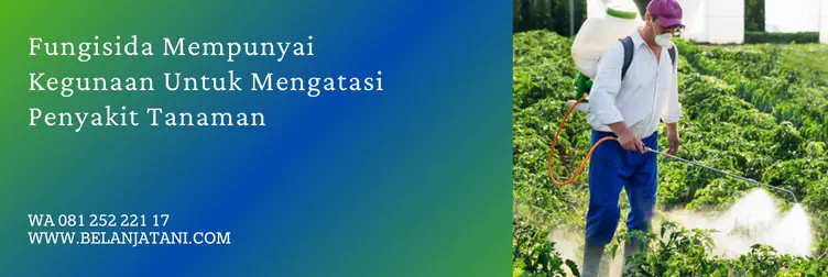 daftar fungisida sistemik, fungisida sistemik terbaik, jenis fungisida sistemik, merk fungisida sistemik, Belanja Tani