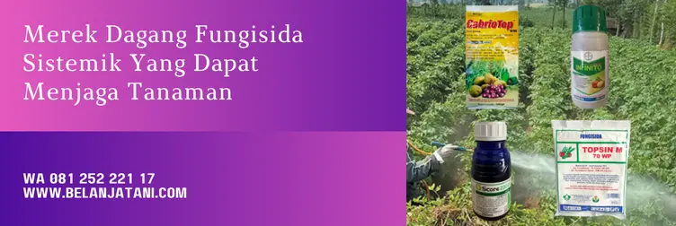 daftar fungisida sistemik, fungisida sistemik terbaik, jenis fungisida sistemik, merk fungisida sistemik, Belanja Tani