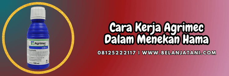 aplikasi,serangga,hama serangga,agrimec 18 ec syngenta,petani,belanja tani
