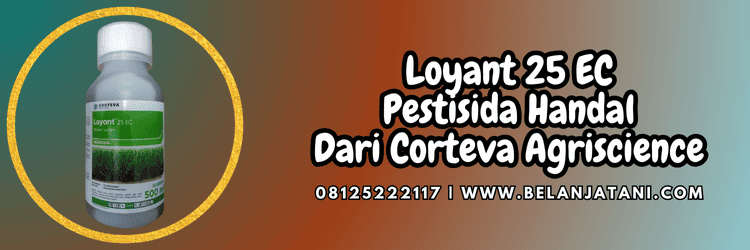 corteva loyant,loyant corteva,herbisida loyant corteva,loyant 25 ec corteva,belanja tani