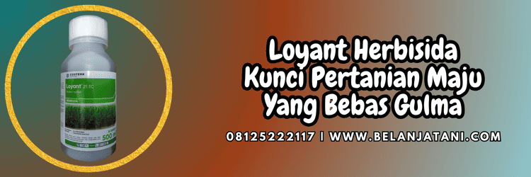 jual,murah,terjangkau,toko pertanian terdekat,belanja tani