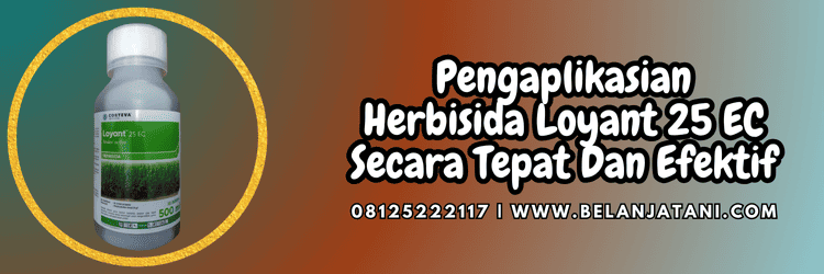 pengaplikasian,pestisida,pestisida jenis herbisida,gulma,belanja tani