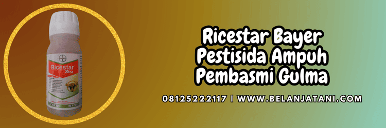 ricestar xtra 89 od,bayer ricestar,herbisida ricestar,herbisida ricestar bayer,belanja tani