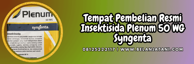 budidaya,tanaman,hama,serangga,belanja tani